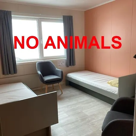 Repvag Overnatting Nordkapp Chambre photo